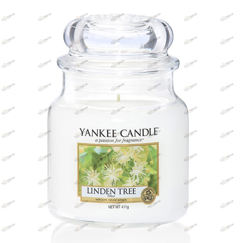 Свеча средняя в стеклянной банке "Липа" Linden Tree 411 гр 65-90 часов YANKEE CANDLE  267984 Белый 