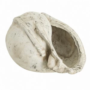 Статуэтка декоративная керамическая 11х14х19 см бежевая "Раковина" TO4ROOMS  00-3838724 Бежевый