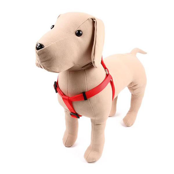 ПР0050096 Шлейка для собак 20мм (обхват 50-65см) красная Great&Small  - Вид №1