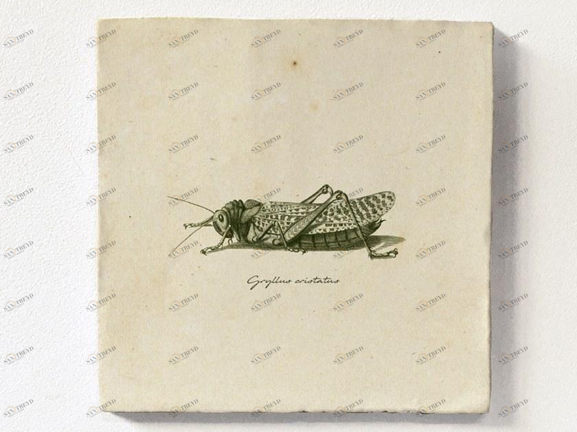 Groovy Magnets Настенный декоративный предмет из керамики Tiles M-tile-gr