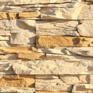 Леонардо 050