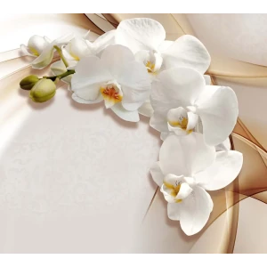 Фотообои Белая орхидея флизелиновые 300x270 см 6252-Л