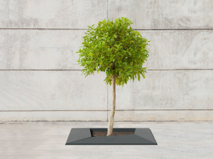 Железная решетка для деревьев