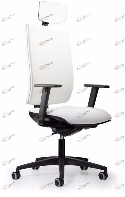 TALIN Кожаное кресло руководителя с 5 спицами и подголовником sun-id-1462113