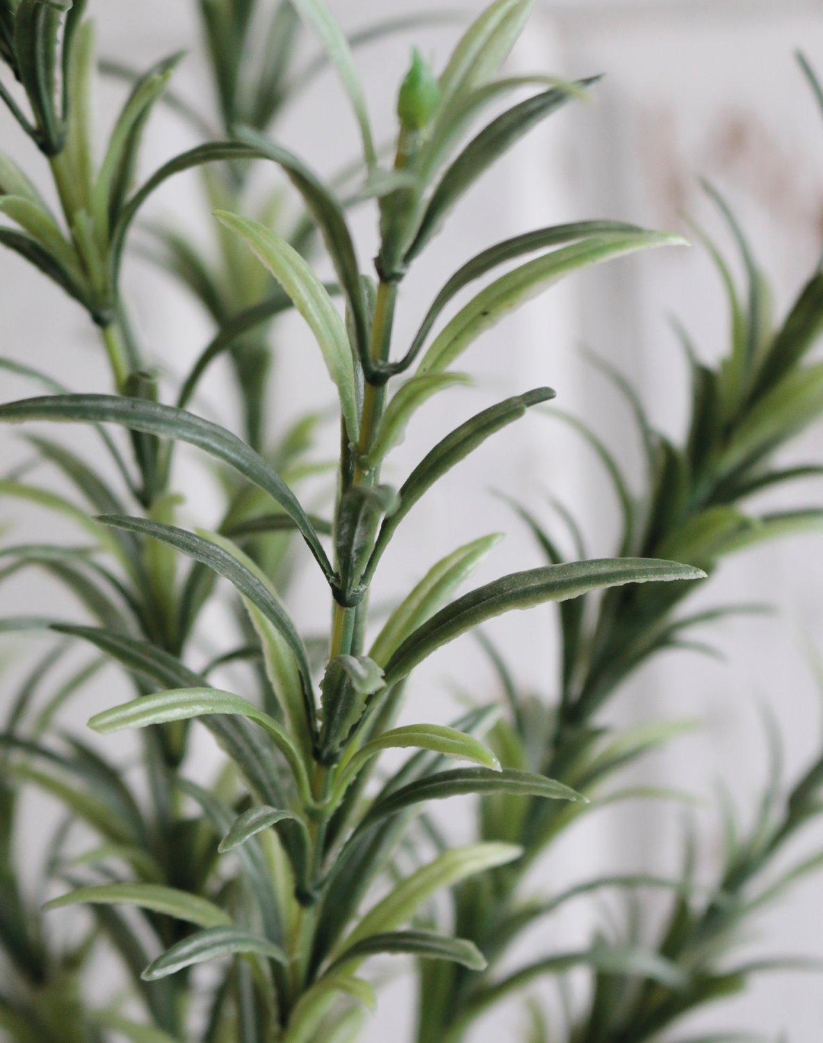 5279 883 a2 Искусственный куст розмарина, 41 см, зеленый H-andreas  - Вид №2