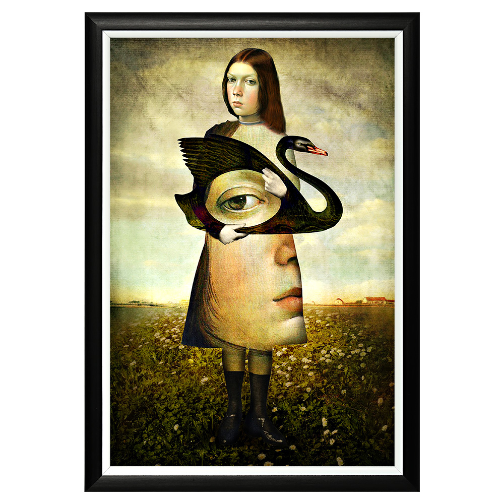 896517154_1818 Арт-постер «Черный лебедь» Object Desire 