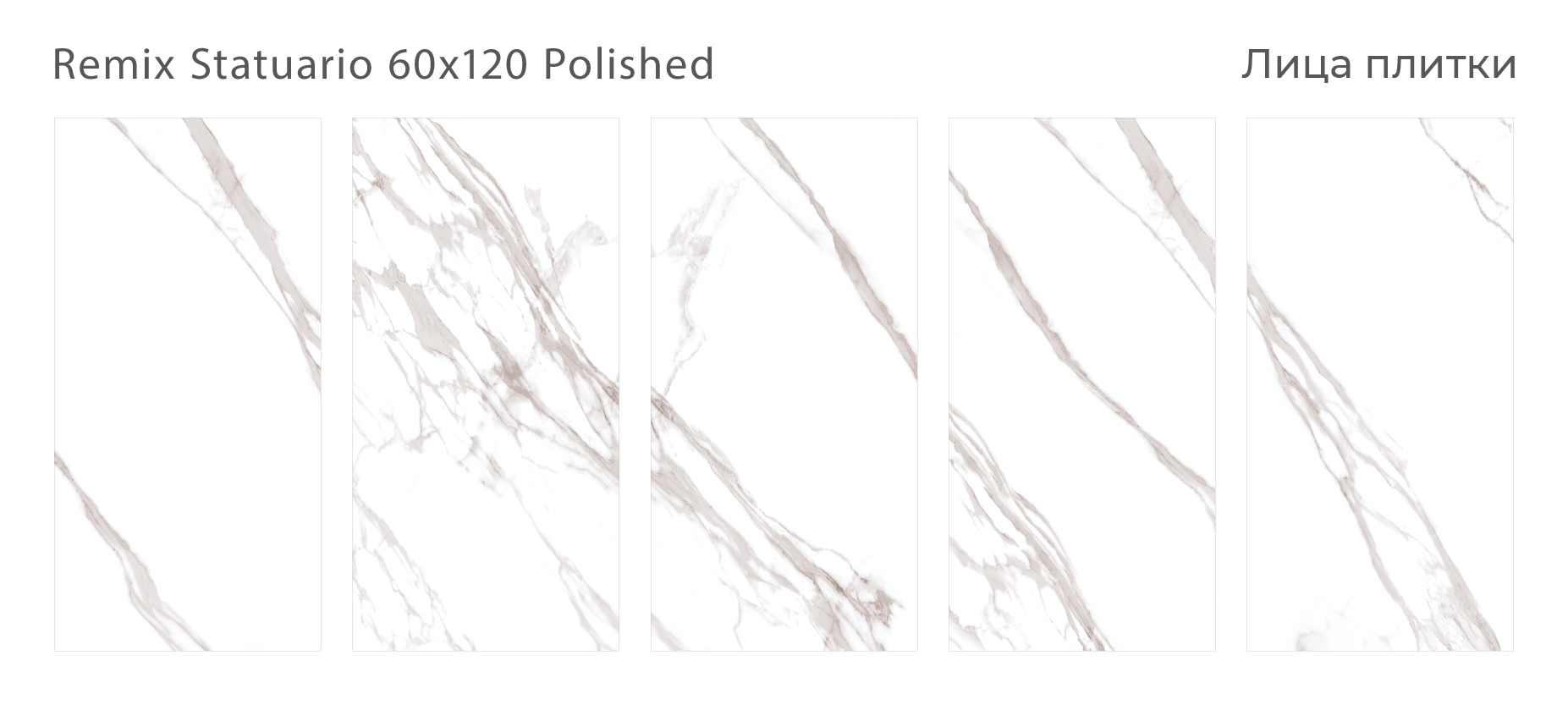 Элегантный керамогранит Palacio – воплощение роскоши STP-ST511 INCOLOR - Вид №2