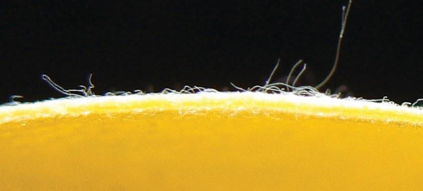 Revestech Гибкая пленка для гидроизоляции душевых поддонов Dry sun-id-1485123 - Вид №3