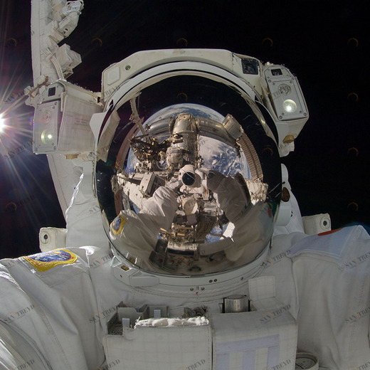 C1-121 Фотообои DIVINO Collection C 2.7х3 м C1121