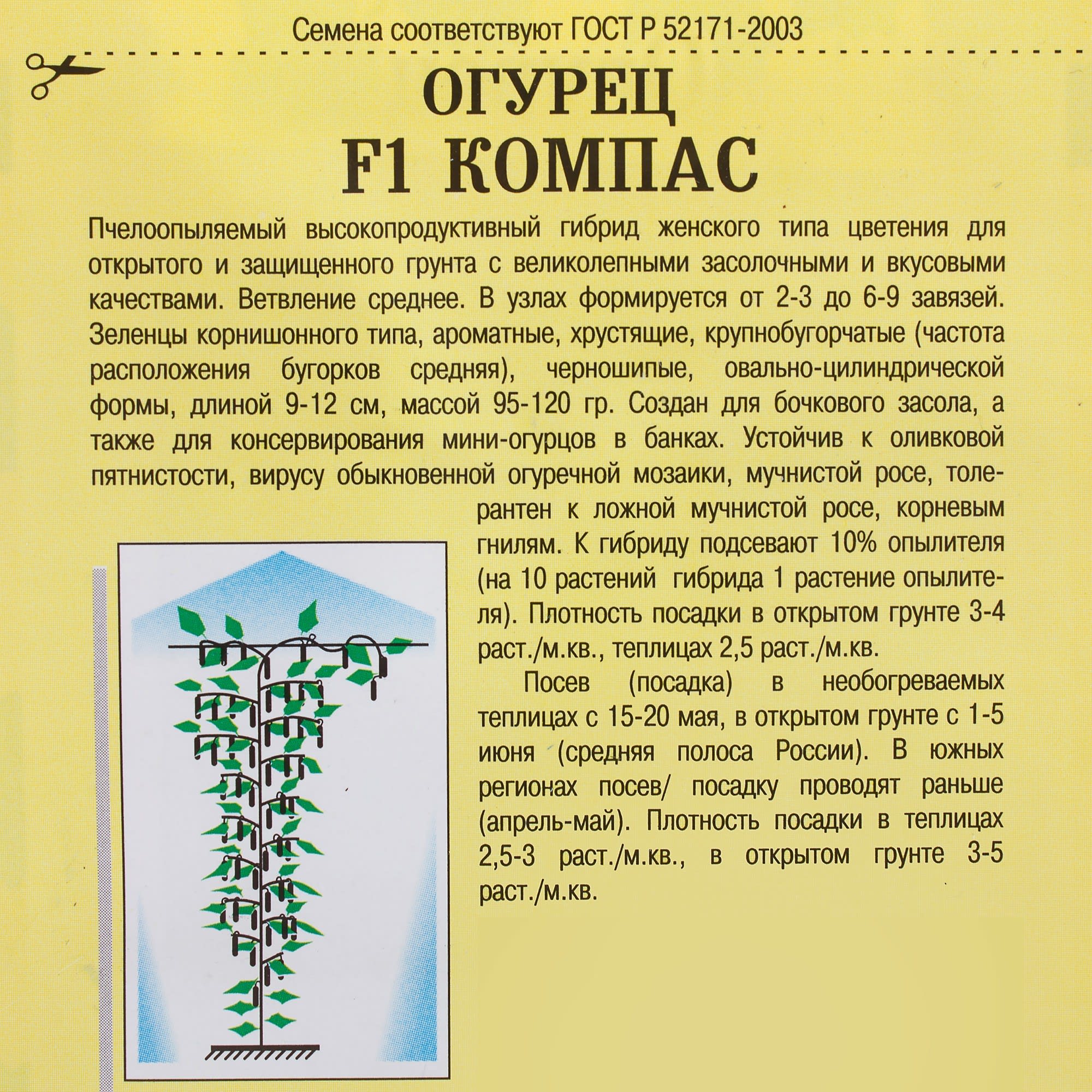 81932531 Семена Огурец «Компас» F1 Santreyd  - Вид №2