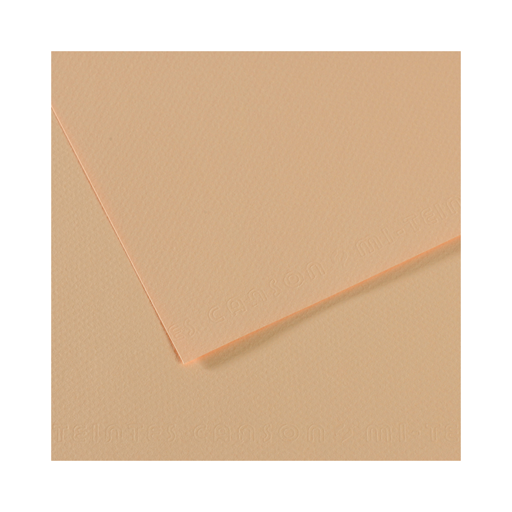 200321074 Бумага для пастели Mi-Teintes 160 г/м2 50 х 65 см лист №350 золотисто-розовый Canson 