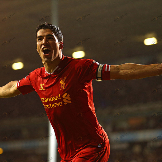 C1-166 Фотообои DIVINO Collection C 2.7х м C1166