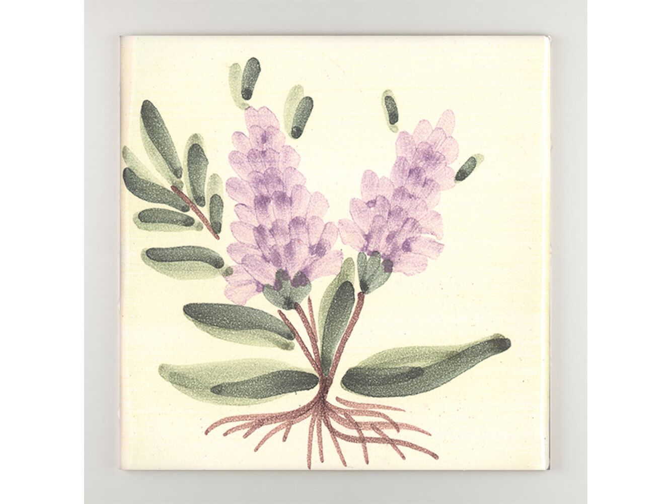 Пол / покрытие ручной работы La Riggiola традиция ARCH-00138232