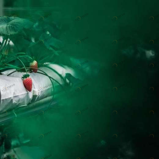 WP02126 Фотообои Verol Фотообои decoline 1х1 м