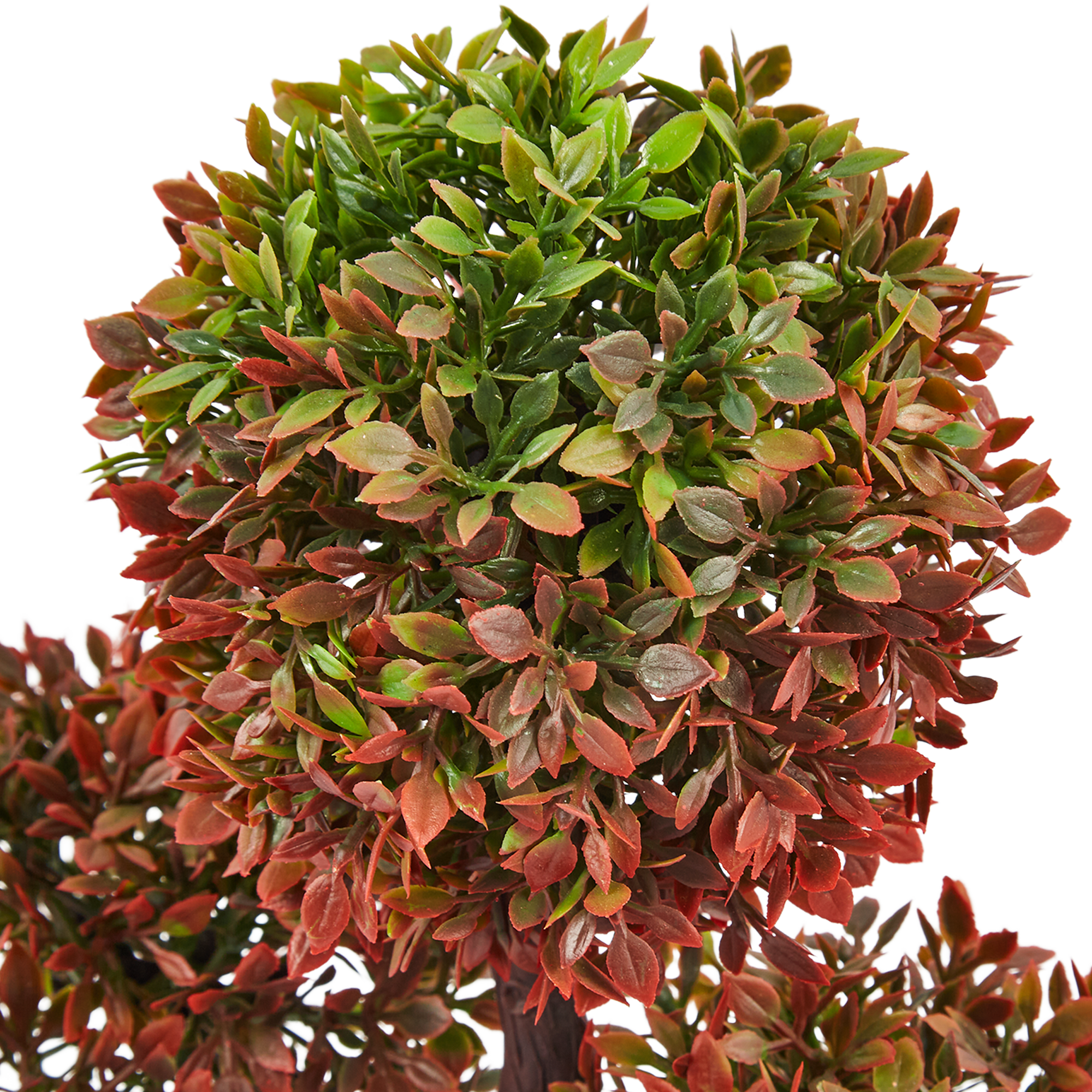 86762967 Искусственное растение в горшке Барбарис ø9 h27 см STLM-0071434 Santreyd  - Вид №2