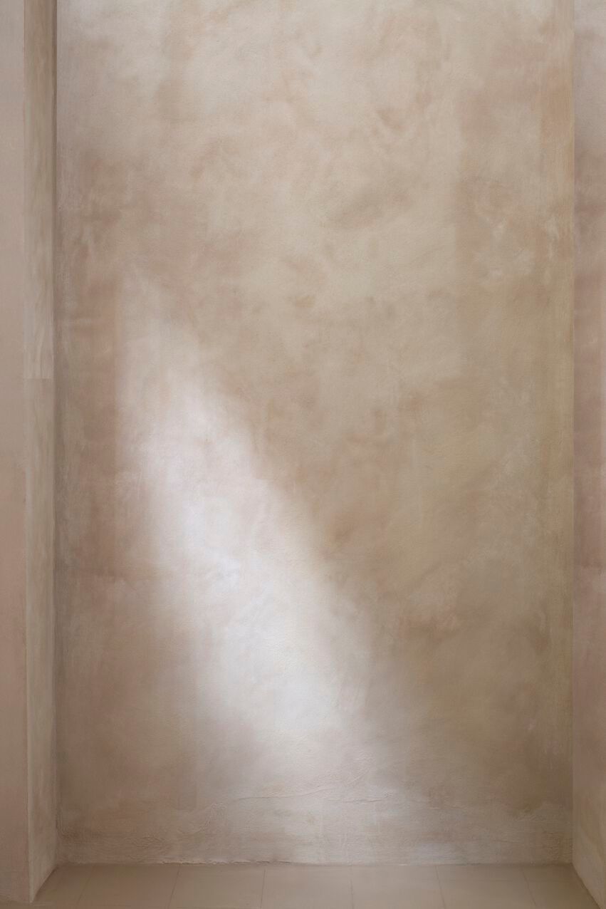 Декоративная краска на основе извести Rezina SPEZIATI ARCH-00135061 - Вид №7