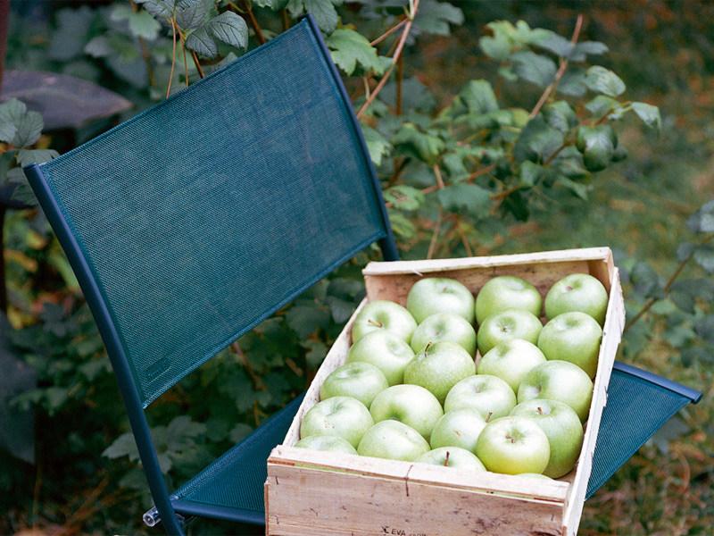 Fermob Садовый стул из стали Plein air 8301 - Вид №1