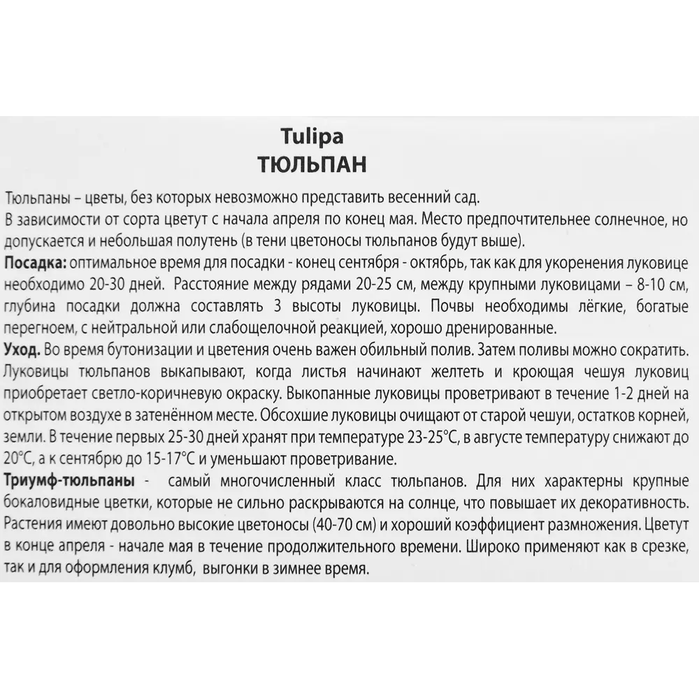 Тюльпан Триумф Роналдо, 3 шт 85205528 STLM-2190651 ПОИСК  - Вид №4