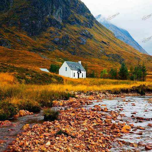 WP00904 Фотообои Verol Фотообои decoline 1х1 м