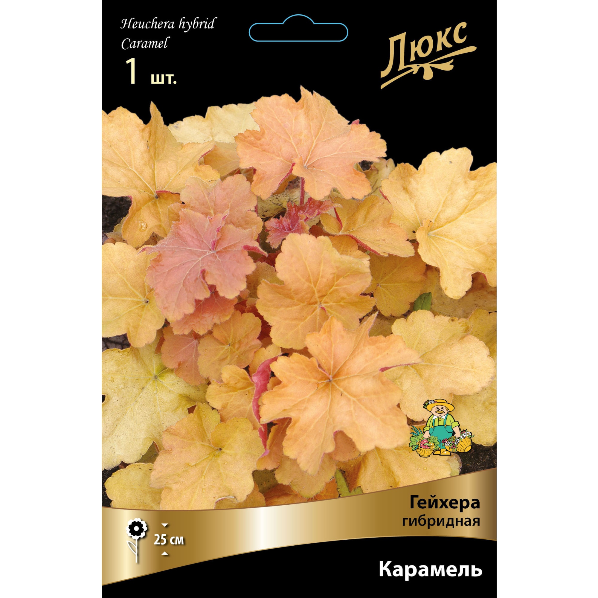 Гейхера гибридная Карамель луковица I Santreyd 83599248