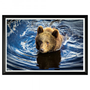 896523216_1818 Арт-постер «Хозяин острова Кадьяк» Object Desire