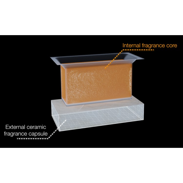 V-SOLIDP CARNIVL VECTAIR SYSTEMS Профессиональный картридж ароматизатора воздуха V-Air Solid PLUS Carnival Карнивал Черный (упаковка)  - Вид №6