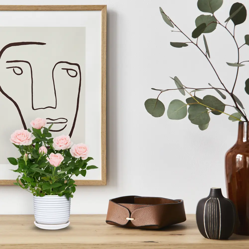 Santreyd Спин — керамический горшок для комнатных растений 82836493 STLM-0036696 - Вид №2