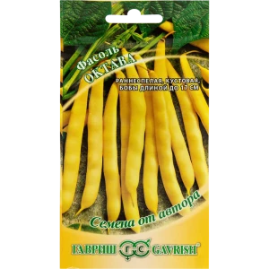 Семена Фасоль «Октава» от автора 5 г