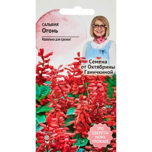 Семена цветов Семена от Октябрины Ганичкиной сальвия Огонь