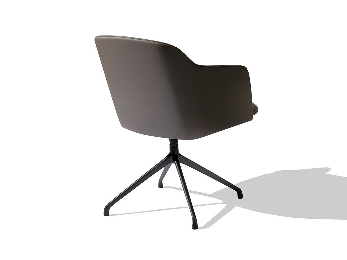 Поворотный стул для конференций с подлокотниками SCHNEEWEISS interior Klara ARCH-00101962 - Вид №2