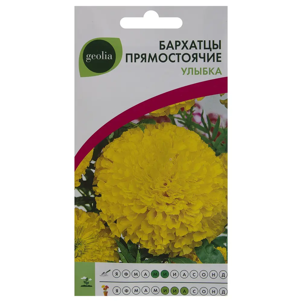 Бархатцы Улыбка GEOLIA - высокорослые с крупными соцветиями 17585527 STLM-0008385