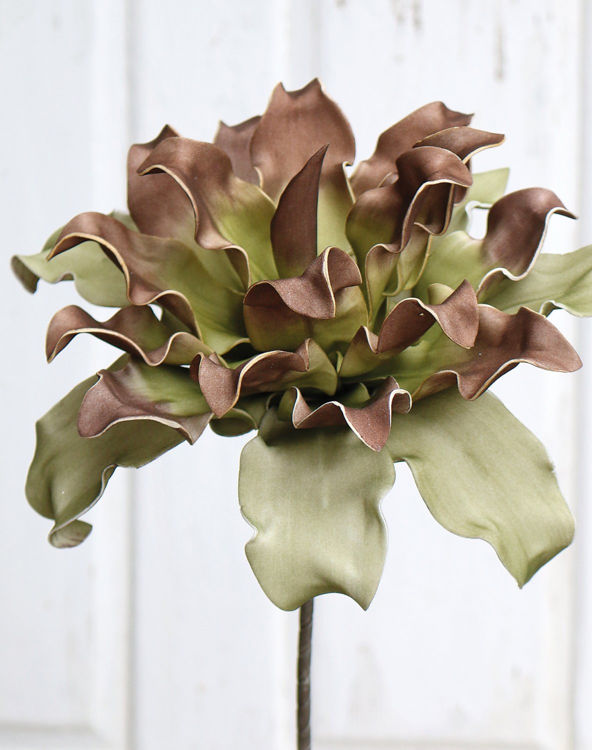 7898 608 a3 Искусственный протея мягкий цветок, 38 см, коричнево-зеленый H-andreas 
