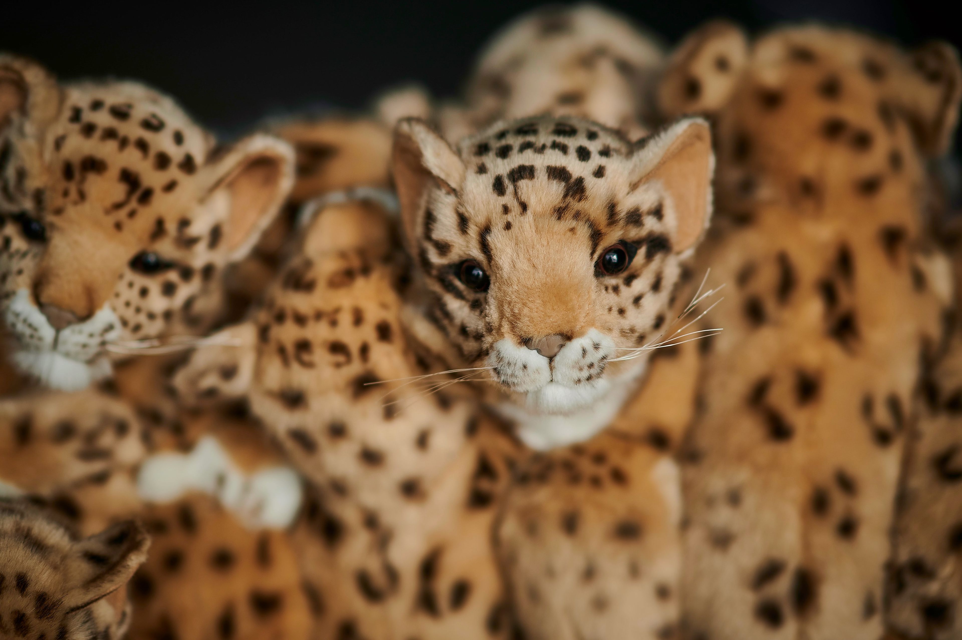 Стул из полиэстера APCOLLECTION Leo ARCH-00127524 - Вид №15