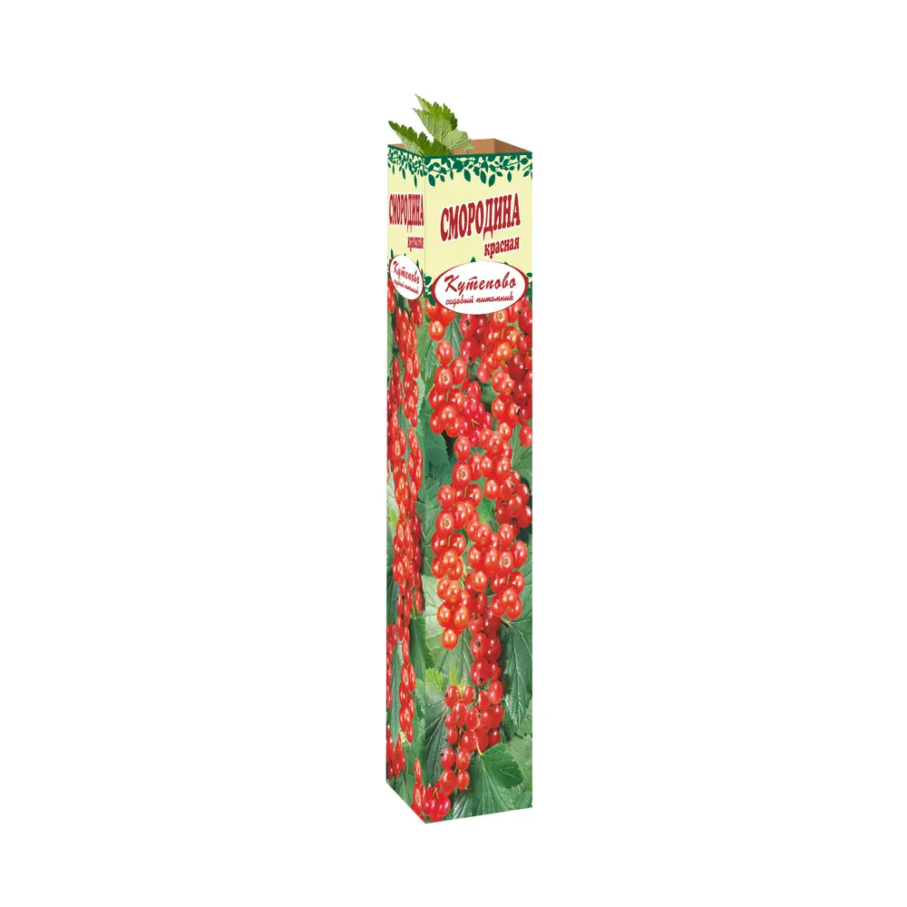 Смородина красная Виксне в тубе 82559207 STLM-2124887 Santreyd 