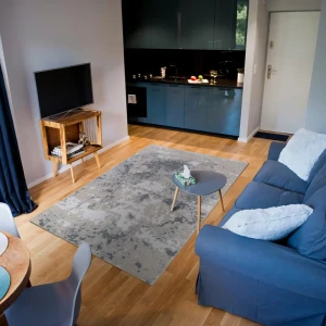 Ковер Merinos Point 200х300 см серый современный 89423595