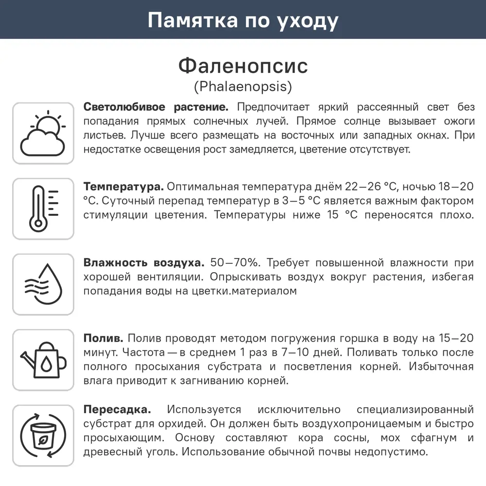 Орхидея Фаленопсис 2 ветки ø12 h55 см 89412070 STLM-2140505 Santreyd  - Вид №5