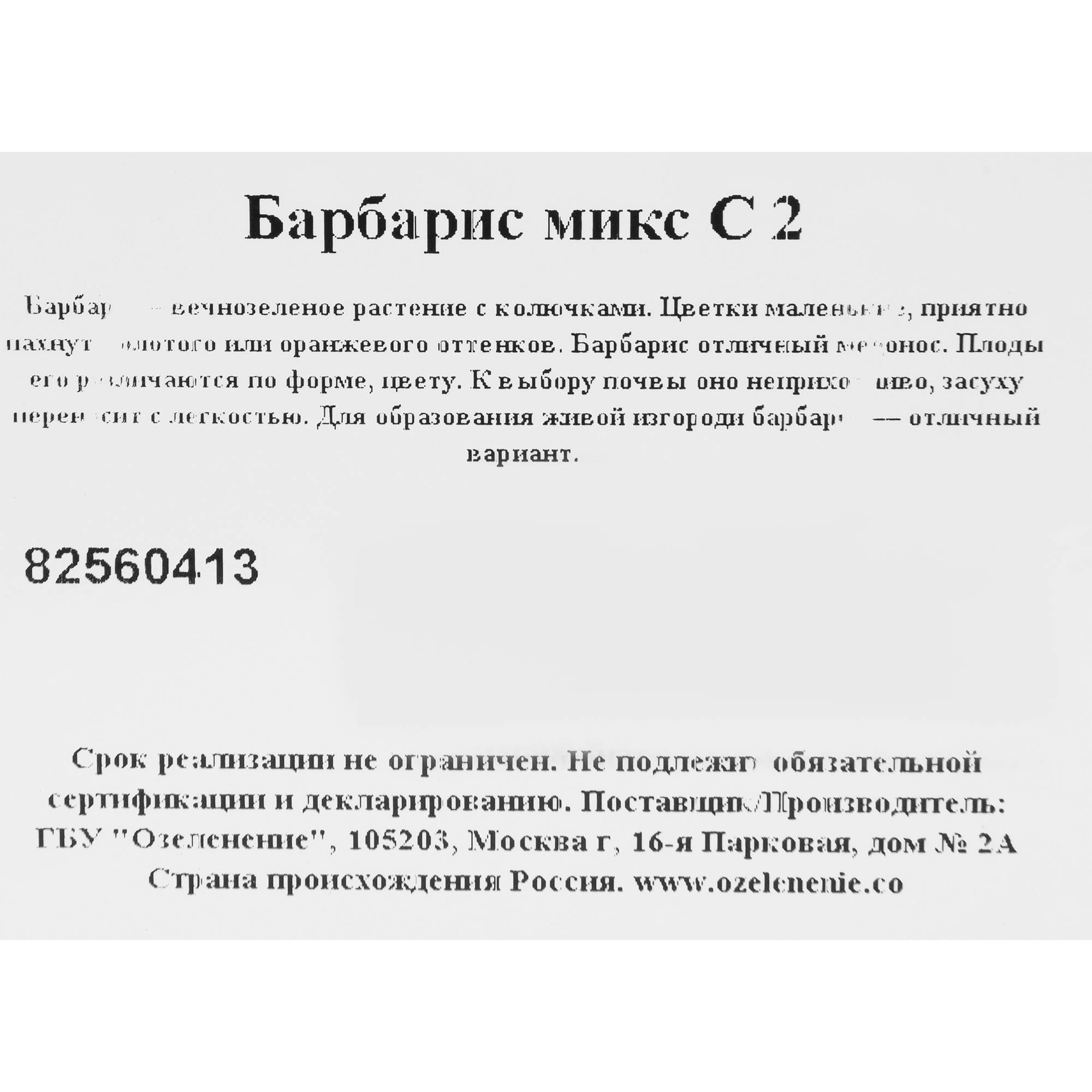 82560413 Барбарис микс C2 Santreyd  - Вид №1