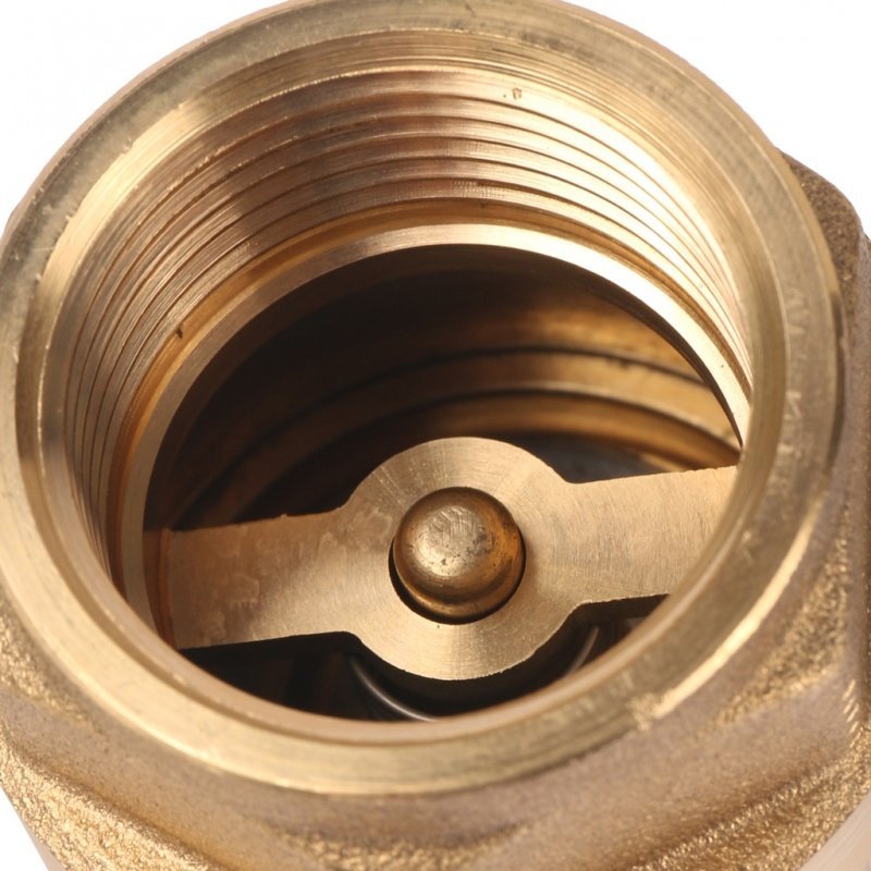 Клапан обратный STOUT 1" (латунное седло) пружинный SVC0011000025 - Вид №2