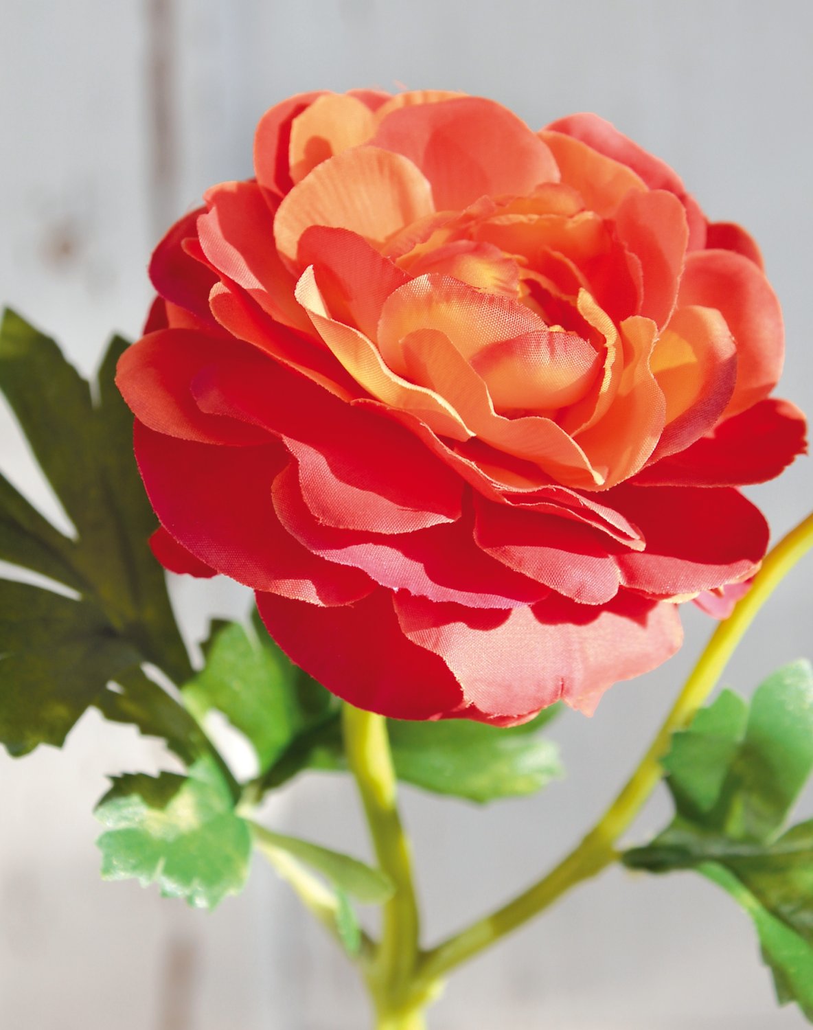 2450 334 a3 Лютик шелковый, 1 цветок, 1 бутон, 32 см, оранжевый H-andreas 