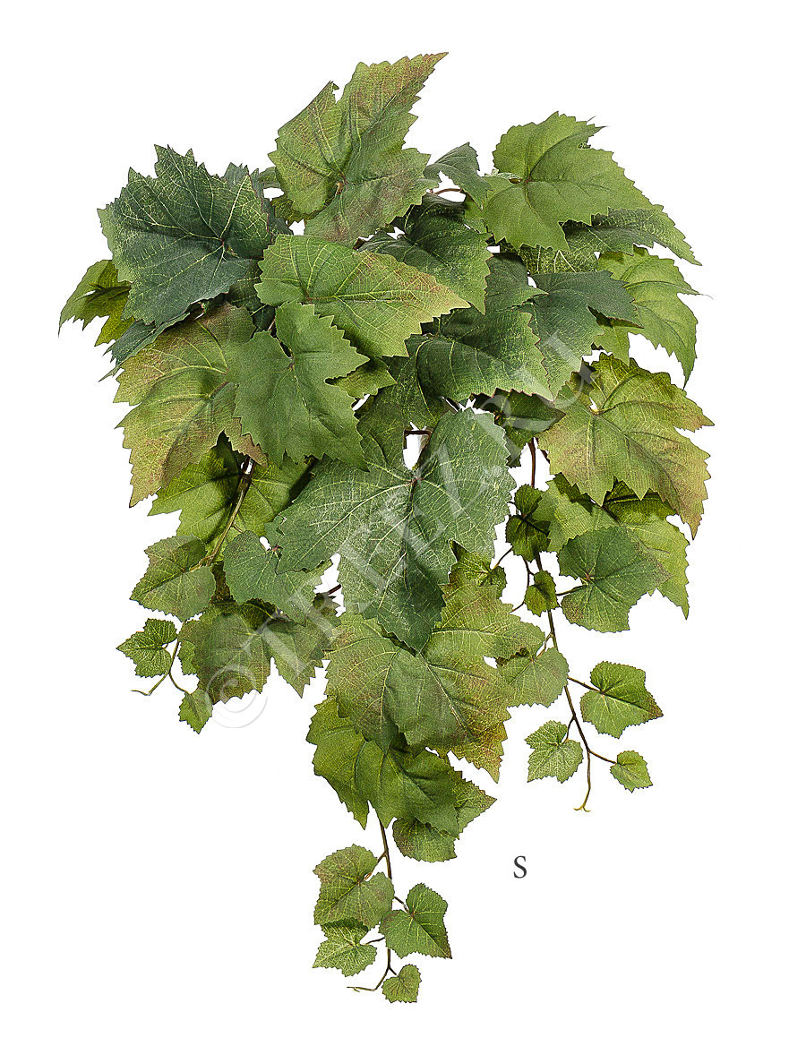 20.1290M Виноградный куст ампельный натуральный Цветочная коллекция  - Вид №1