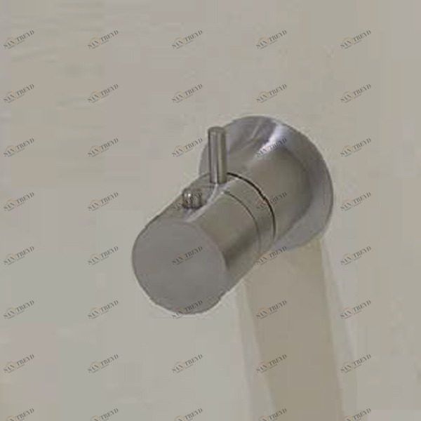 Смеситель термостатический для душа AY604SA Antonio Lupi AYATI Antoniolupi