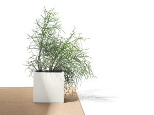 Квадратный полиэтиленовый садовый горшок