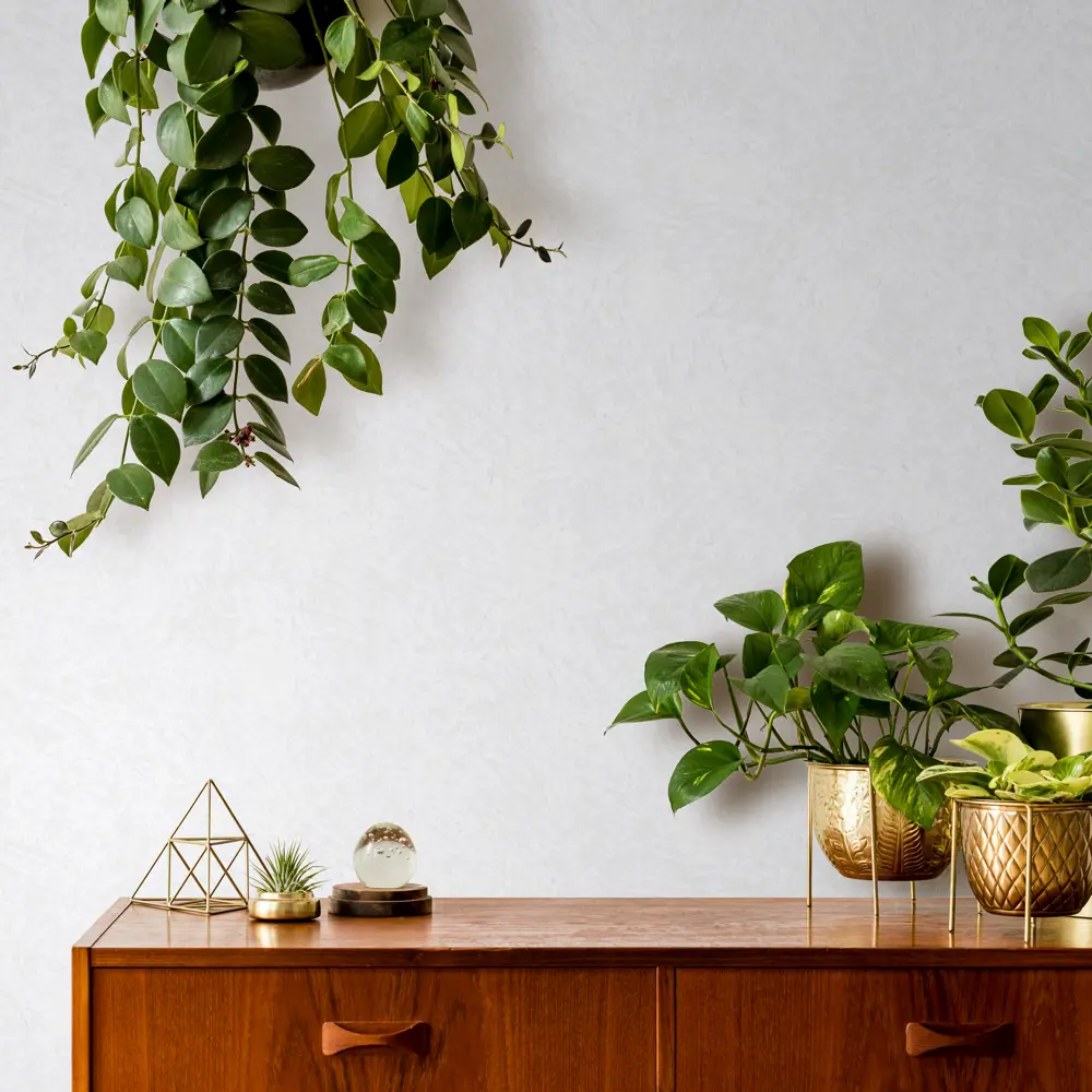 Обои Erismann Tiara белые 1.06 м ЭР60241-02 STLM-2169403 - Вид №2