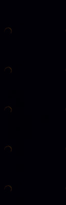 Плитка Winter Vine рельеф черный 29x89 MEI OWINWTA232