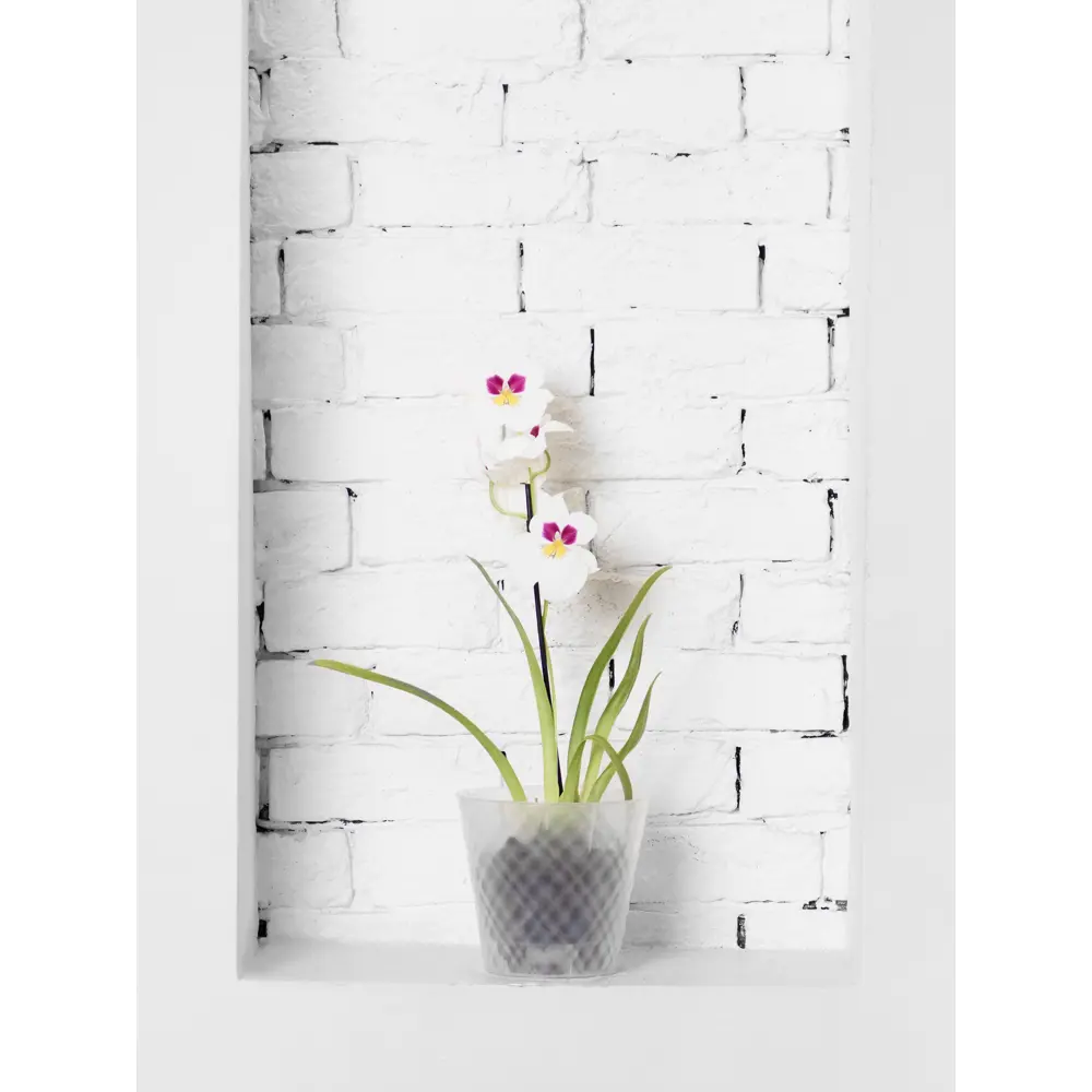 Горшок для цветов Ingreen Manhattan Orchid Ø16 h14.5 см v1.6 л пластик прозрачный 89452785 STLM-2125131 - Вид №6