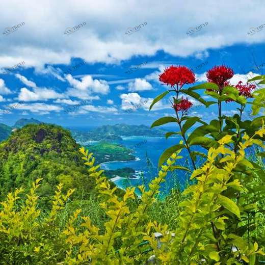 WP02427 Фотообои Verol Фотообои decoline 1х1 м