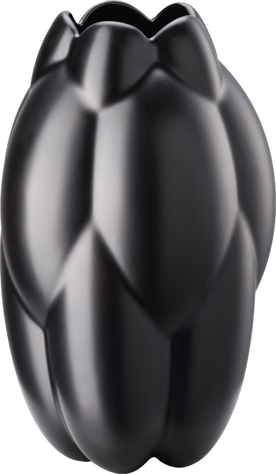 10640552 Rosenthal Ваза Rosenthal Суть 16см, фарфор, черная, матовая (Седрик Раго) Фарфор 