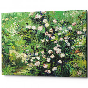 896522174_2628 Картина «Розовый куст в цвету» (холст, галерейная натяжка) Object Desire