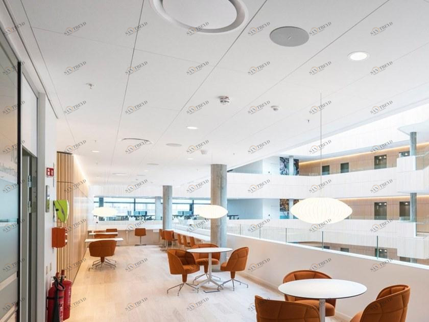 Rockfon Потолочные панели из каменной ваты Design bianco sun-id-1475663