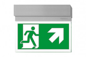 DST-1970 Ikusmet 2211-t Daisalux Светильники сигнальные Серебристо-Серый